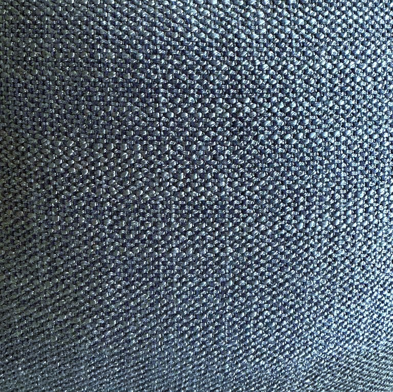 Muted Bluey