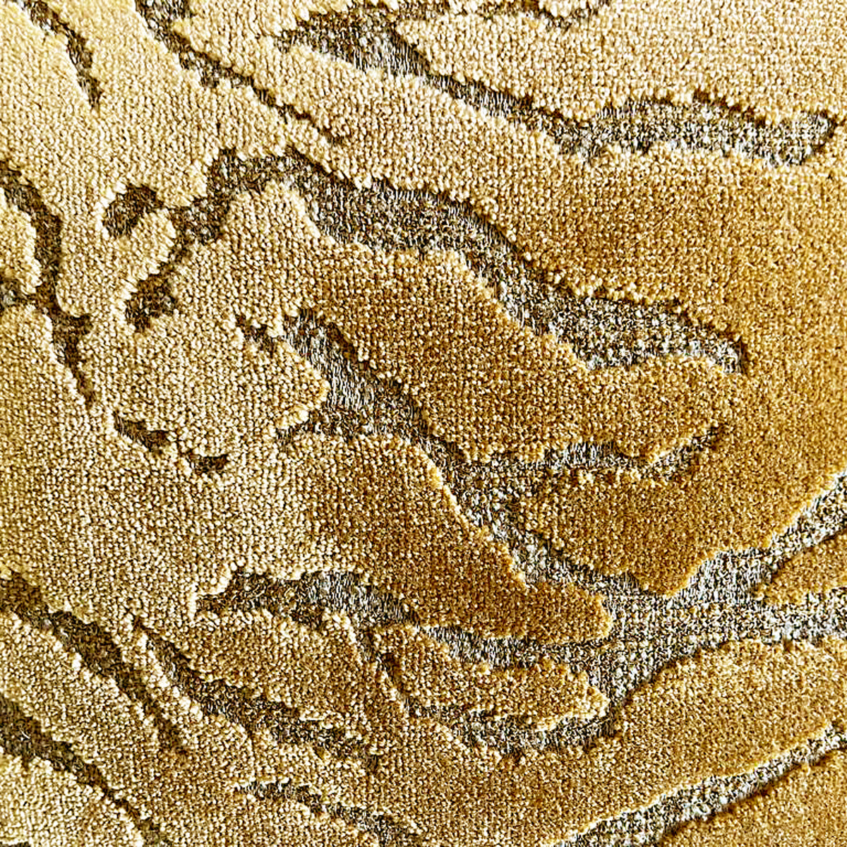 Safari Bronze