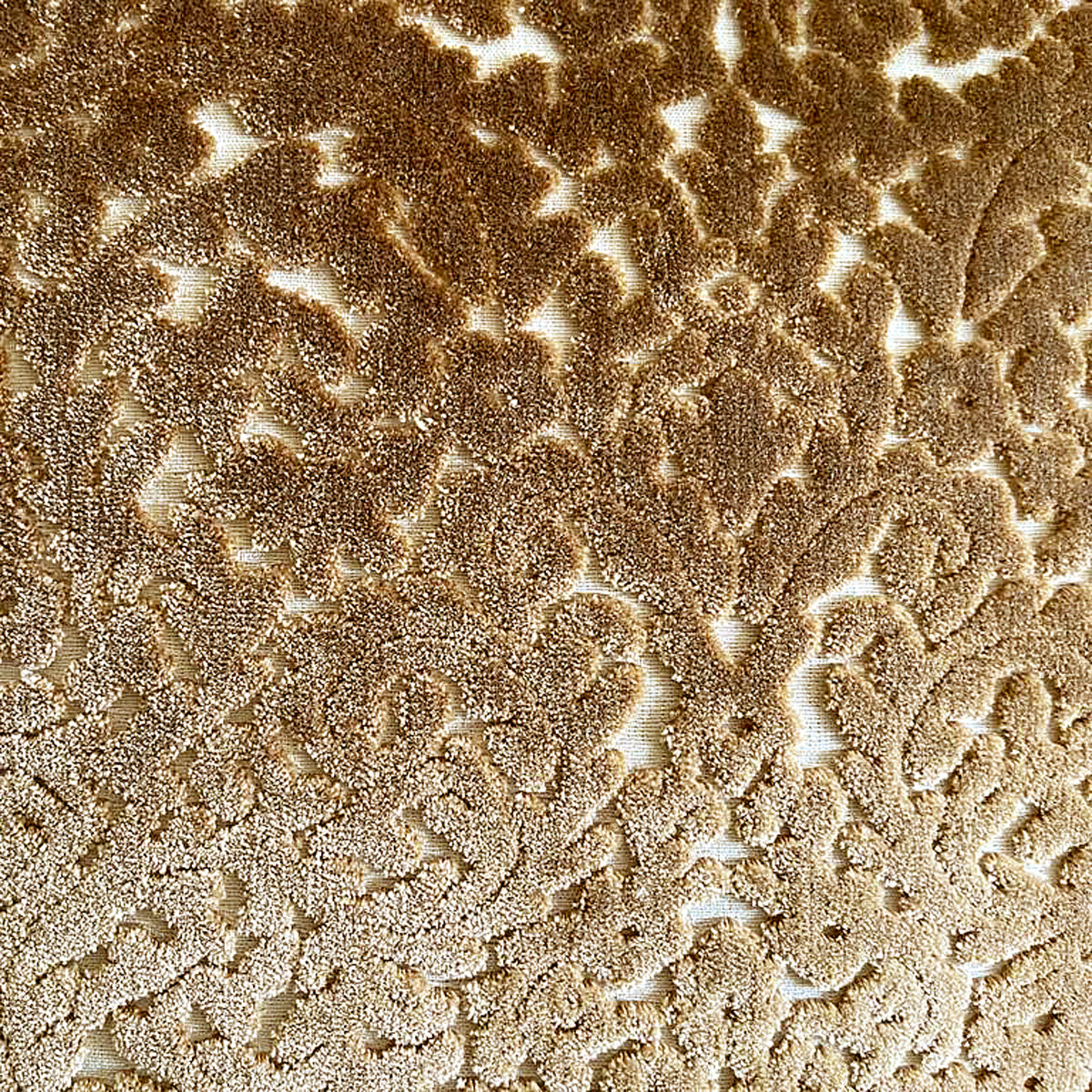 Paisley Beige